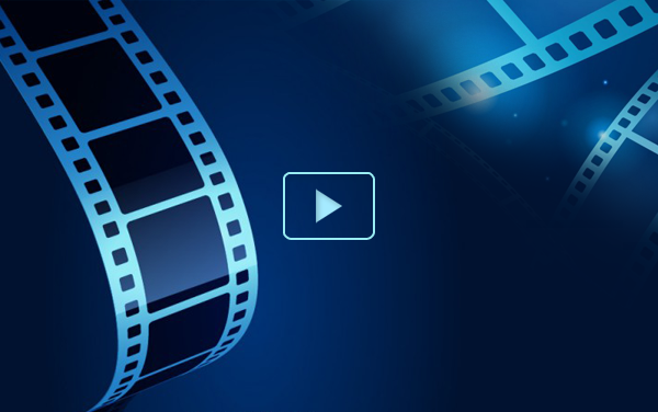 Hoạt động Một Ngày Làm Chiến Sĩ